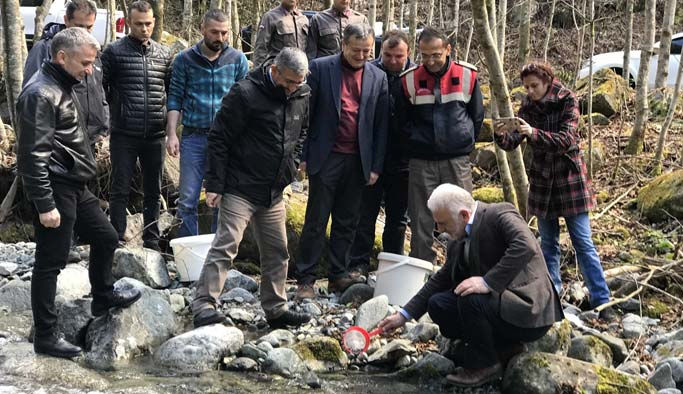 Fırtına deresine alabalık bırakıldı