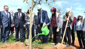 Vali Yavuz öğrencilerle fidan dikti