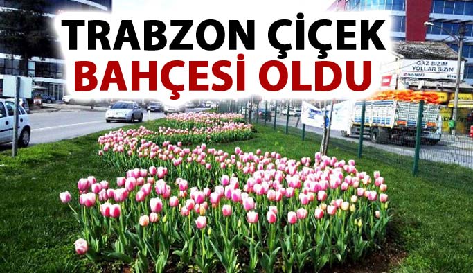 Trabzon çiçek bahçesi oldu