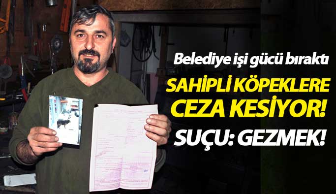 Trabzon'da köpek sahiplerine gezdirme cezası kesildi!