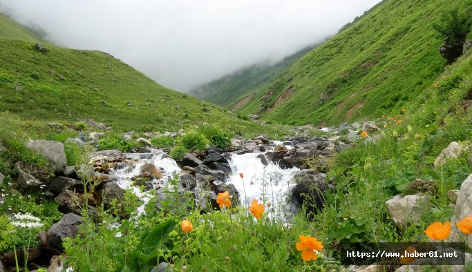 Rize yaylaları ziyaretçilerini bekliyor