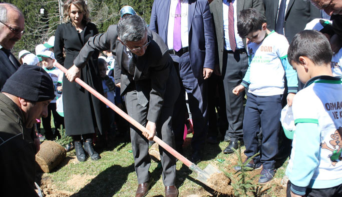 Afrin kahramanları için Rize'de hatıra ormanı