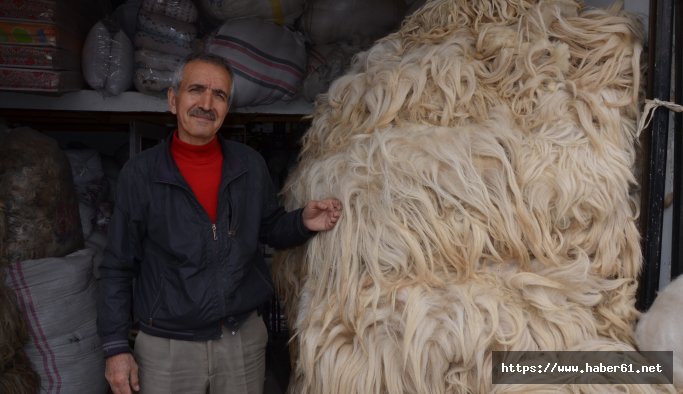 Yüncülerin sezondan beklentisi büyük 