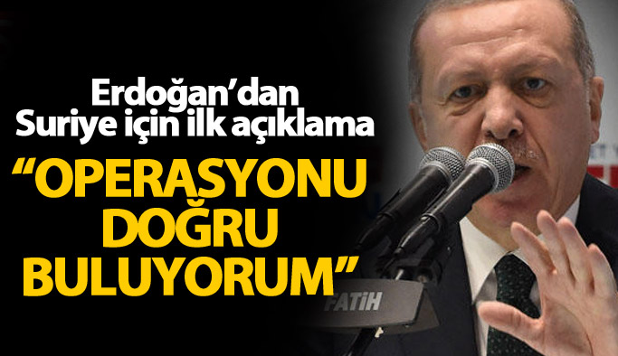 Erdoğan'dan Suriye için ilk açıklama