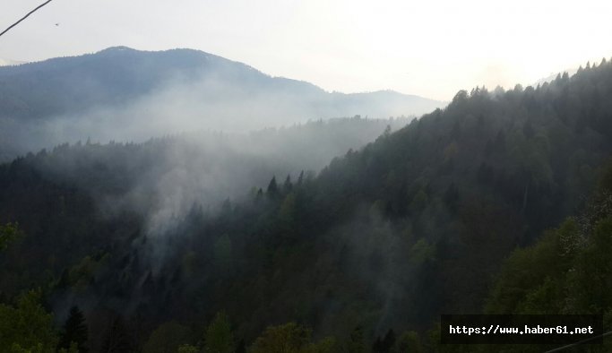 Rize'deki örtü yangınında sevindiren gelişme