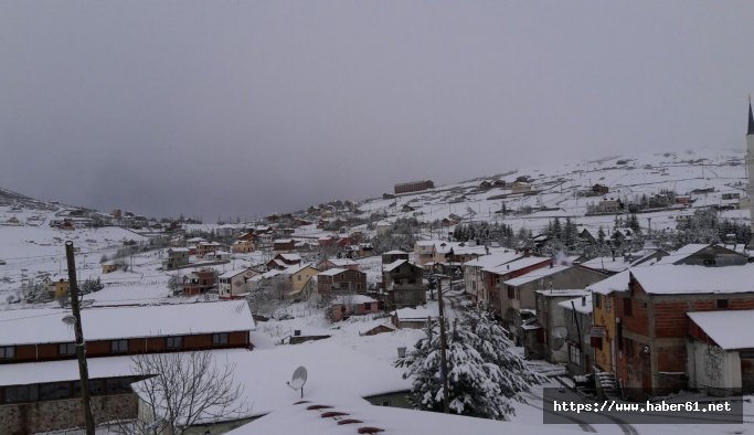 Ordu'da yaylalar beyaza büründü 