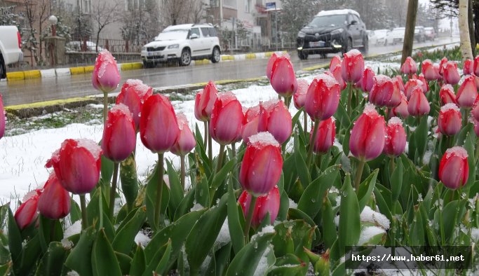 Erzurum'da kar sürprizi