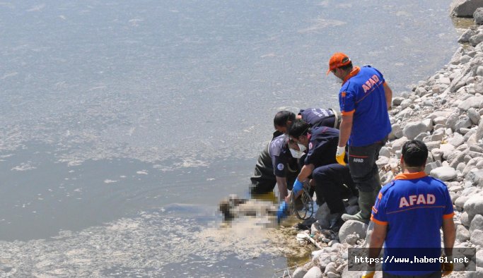 Barajda su çekilince ceset ortaya çıktı