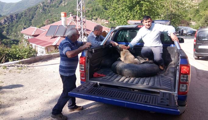 Cami imamından örnek davranış