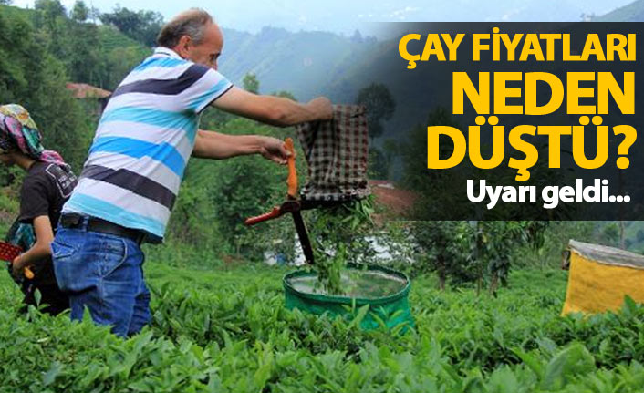 Çay fiyatları düştü! İşte nedeni...