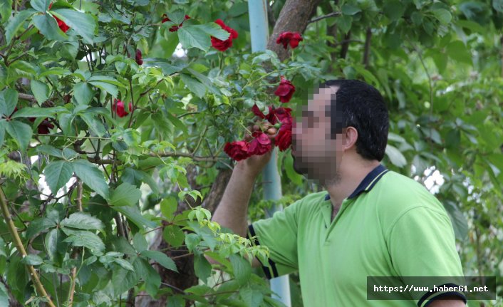 Ruh sağlığı hastaları şifayı doğada buluyor