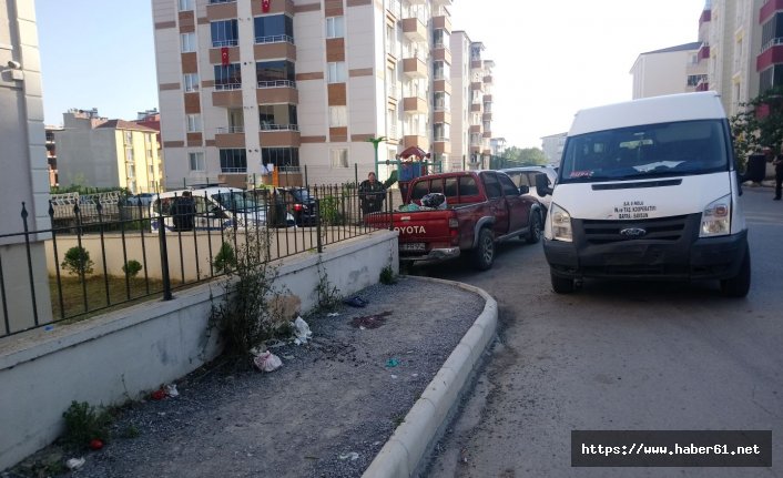 Tarım işçilerini taşıyan kamyonetle minibüs çarpıştı: 1 ölü, 6 yaralı. 15 Ağustos 2018