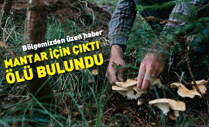 Mantar toplamaya giden yaşlı adam ölü bulundu 