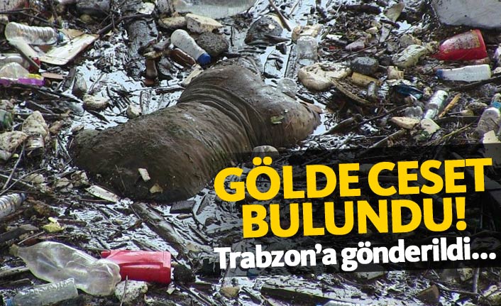 Gölde ceset bulundu! Trabzon'a gönderildi...