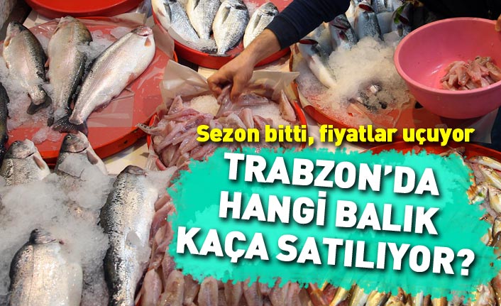 Trabzon'da balık fiyatları rekor kırıyor! Hangi balık kaça satılıyor?