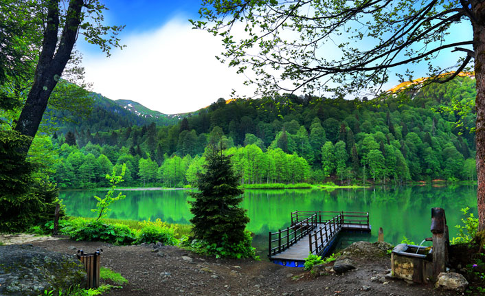 Karadeniz'de ekoturizmde başarılı olunamadı