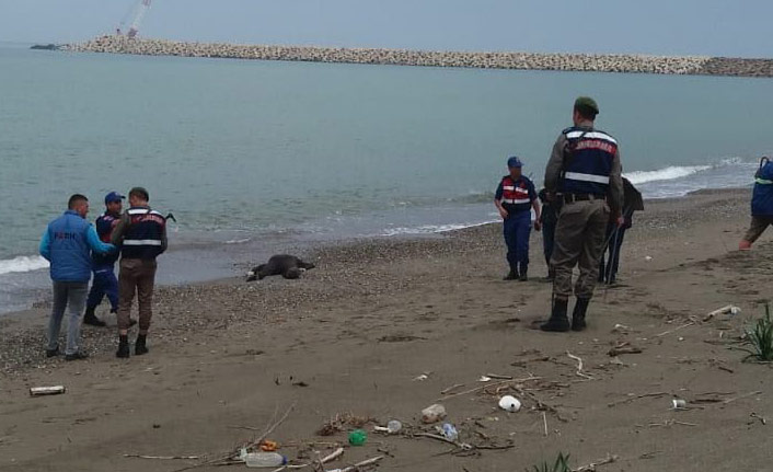 Kayıp yaşlı adamın cesedi 51 gün sonra denizden çıktı 