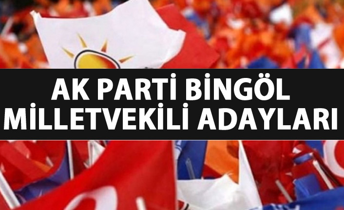 Bingöl AK Parti milletvekili adayları listesi...