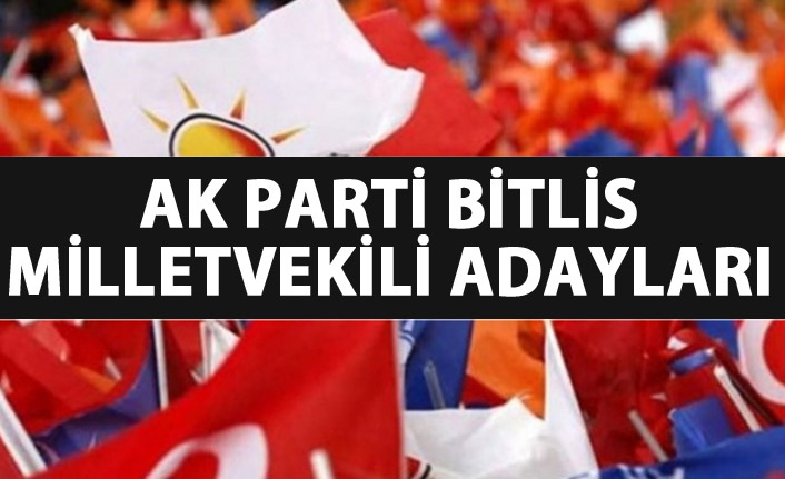 AK Parti Bitlis milletvekili adayları listesi kimlerden oluştu?