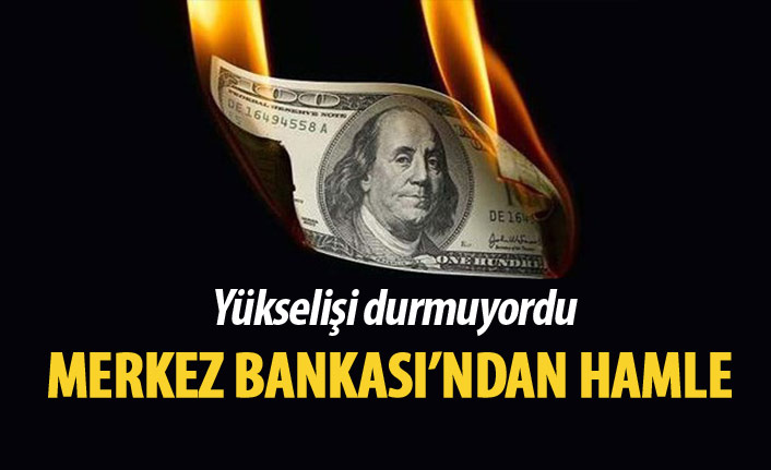 Merkez Bankası'ndan dolar hamlesi