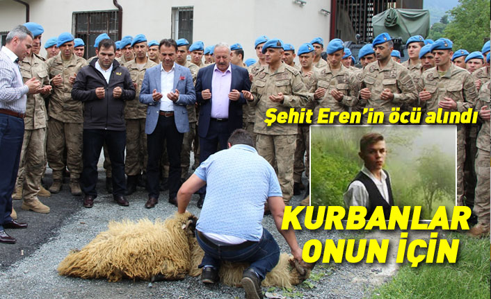 Şehit Eren Bülbül'ün öcü alındı, kurbanlar kesildi