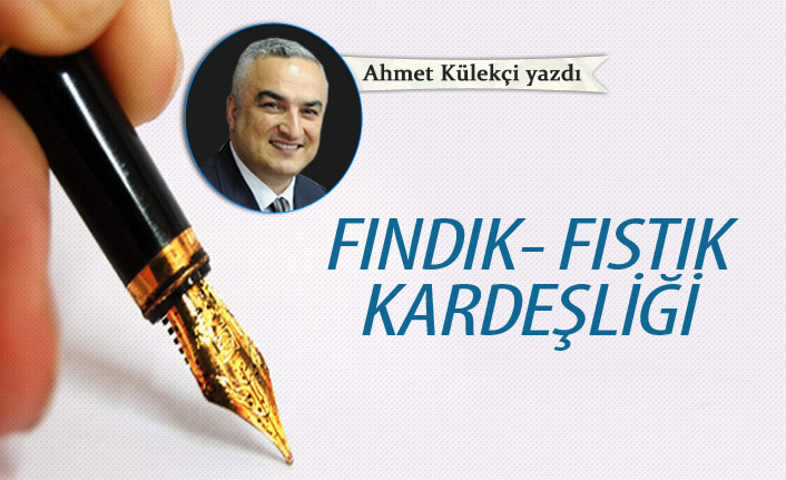 Fıstık - fındık kardeşliği