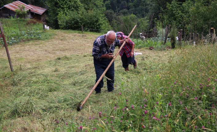 Rize'de bu köyün yaşlıları gençlere taş çıkartıyor 