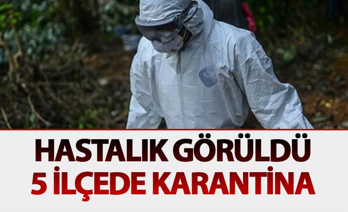 Hastalık görülen 5 ilçede karantina başlatıldı