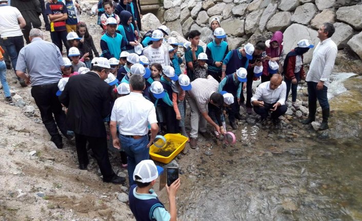 Trabzon'da minikler dereye alabalık saldı