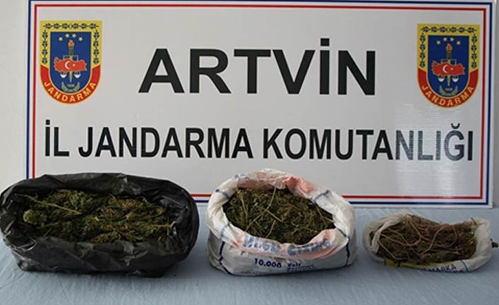 Artvin'de uyuşturucu operasyonu! 4 kişiden 1'i tutuklandı