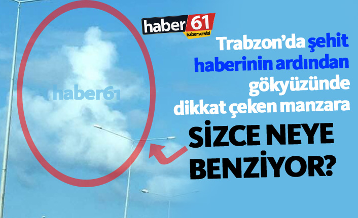 Trabzon'da şehit haberinin ardından dikkat çeken manzara