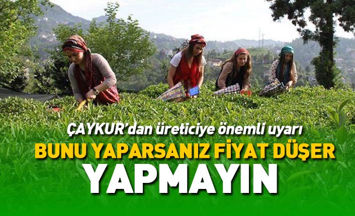 ÇAYKUR'dan çay üreticilerine önemli uyarı