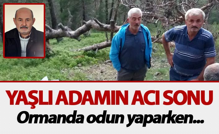 Yaşlı adamın acı sonu - Ormanda odun yaparken...