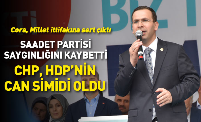 AK Partili Cora: CHP, HDP'nin can simidi oldu