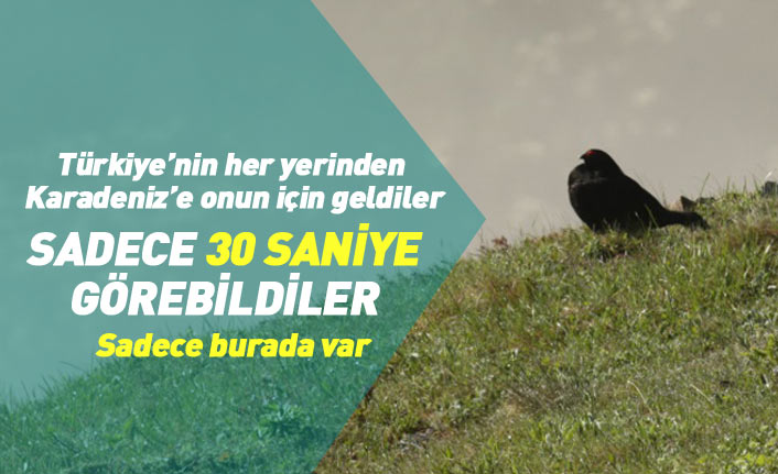 Karadeniz'e onun için geldiler, sadece 30 saniye görebildiler