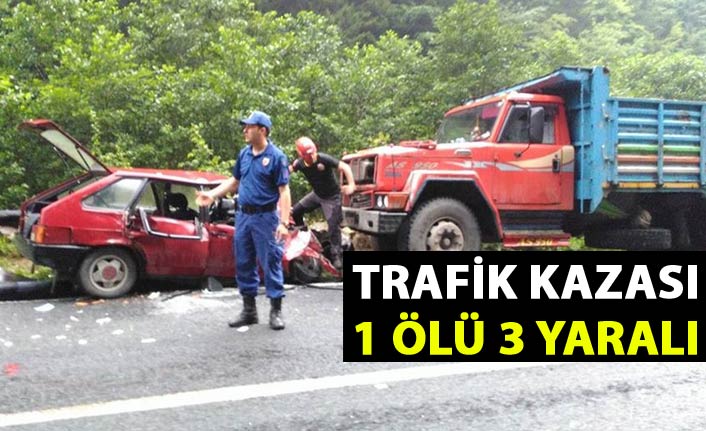 Rize'nin İkizdere ilçesinde kamyon ile bir otomobilin kafa kafaya çarpıştı.