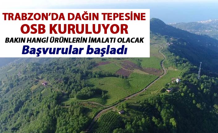 Trabzon'da dağın tepesinde kurulacak OSB'yi tanıttılar