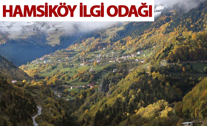 Trabzon'da Hamsiköy ilgi odağı