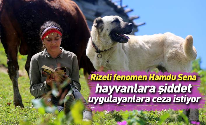 Rizeli fenomen Hamdu Sena, hayvanlara şiddet uygulayanlara ceza istiyor