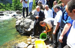 20 bin adet alabalık yavrusu dereye bırakıldı