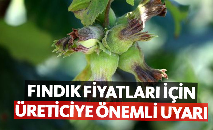 Fındık fiyatları için üreticiye önemli uyarı