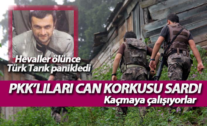 PKK'nın sözde Karadeniz Açılım Grubu'na büyük darbe