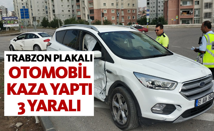 Trabzon plakalı otomobil kaza yaptı: 3 yaralı