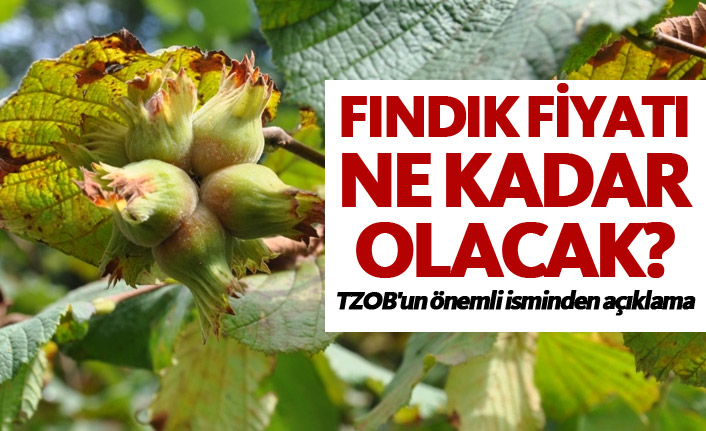 Fındık fiyatı ne kadar olacak? - TZOB'un önemli isminden açıklama