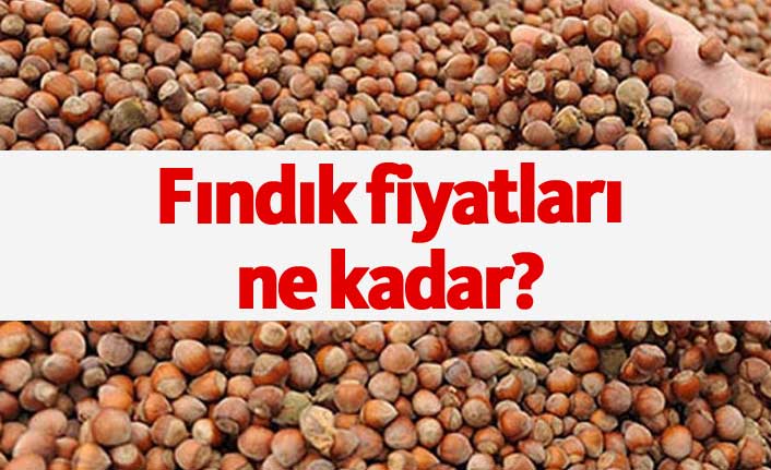 Fındık fiyatları ne kadar? Fındık fiyatları açıklandı mı?