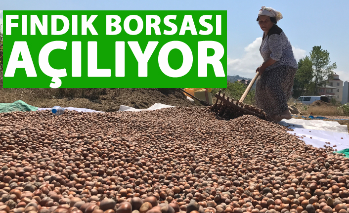 Fındık Borsası açılıyor