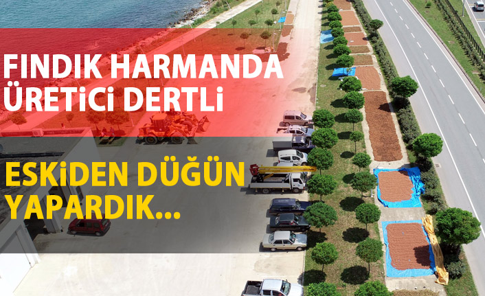 Yol kenarları fındık harmanı oldu