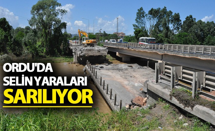 Ordu'da selin yaraları sarılıyor