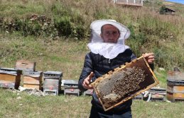 Hava şartları Anzer Balı'nı fena vurdu