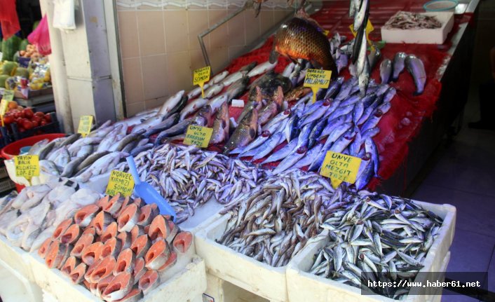 Karadeniz'de palamut patlaması! Balıkçıların yüzü gülüyor